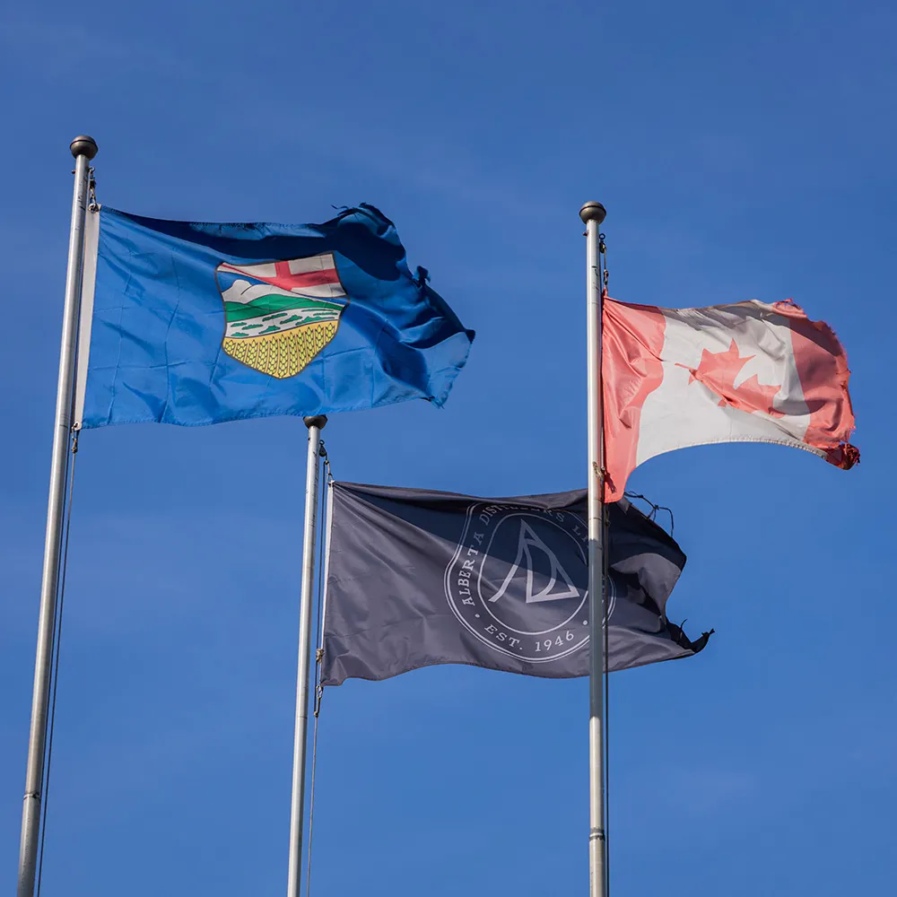Flags Canada Alberta Content