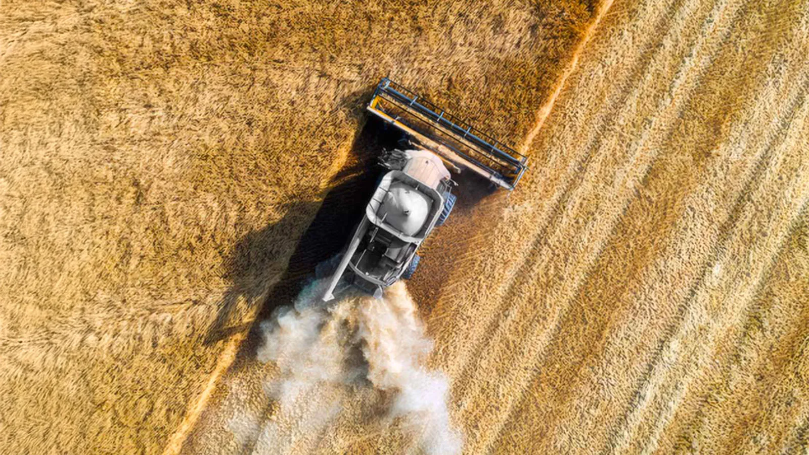 tractor-harvest-field-aerial-extended-alberta